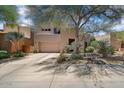 Contemporary desert home with desert landscaping including cacti and mature trees at 27892 N 108Th Way, Scottsdale, AZ 85262