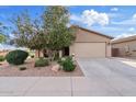 Charming single-story home featuring a well-maintained lawn, desert landscaping, and a two-car garage at 41138 N Soap Berry St, Queen Creek, AZ 85140