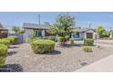 Landscaped front yard features updated desert landscaping and mature trees, providing curb appeal at 1003 E Marigold Ln, Tempe, AZ 85288