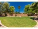 Expansive backyard with well-maintained lawn, mature trees, and privacy wall at 1811 S Brentwood Pl, Chandler, AZ 85286