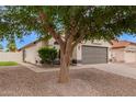 Charming single-story home featuring a well-manicured front yard and a neutral paint scheme at 2027 S Rowen St, Mesa, AZ 85209