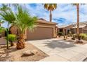 Attached garage with a driveway and desert landscaping including palm trees and cacti at 1173 E Daisy Way, San Tan Valley, AZ 85143