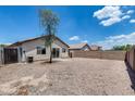 Desert backyard with rocks and partial vegetation including a lonely tree at 12233 W Aster Dr, El Mirage, AZ 85335