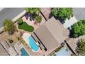 Aerial view of backyard featuring a large pool with a rock surround and a grassy area at 2648 E Teakwood Pl, Chandler, AZ 85249