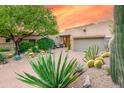 Desert home exterior with mature landscaping featuring cacti, a large tree, and a driveway leading to a two-car garage at 39032 N 101St Way, Scottsdale, AZ 85262