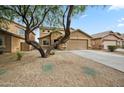 Charming single-Gathering home featuring a well-maintained yard, desert landscape, and a two-car garage at 4587 E Silverbell Rd, San Tan Valley, AZ 85143
