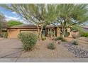 Inviting desert home with a charming facade and low-maintenance landscaping at 24645 N 117Th St, Scottsdale, AZ 85255