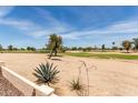 Scenic golf course view with mature trees, providing a serene and picturesque backdrop at 3930 E Colonial Dr, Chandler, AZ 85249