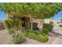 The front yard is beautifully landscaped with lush greenery and mature trees that provide shade and privacy at 3960 W Salter Dr, Glendale, AZ 85308