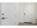 Bright hallway with wood-look flooring and a white front door with modern hardware at 286 E Raleigh Dr, Chandler, AZ 85286