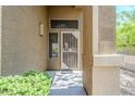 Close-up of the front door featuring a decorative security screen and textured walls at 7094 E Palo Brea Dr, Gold Canyon, AZ 85118