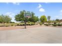 Outdoor basketball court featuring mature trees and landscaping in a well maintained community park at 2738 E Silversmith Trl, San Tan Valley, AZ 85143