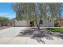 Exterior view of house featuring large shade tree and covered entryway at 30308 W Whitton Ave, Buckeye, AZ 85396
