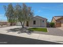 Well-maintained front yard featuring a mature tree and gravel landscaping at 30308 W Whitton Ave, Buckeye, AZ 85396