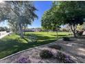 Lush green community park featuring open grassy areas, mature trees, and walking paths at 3756 E Kerry Ln, Phoenix, AZ 85050
