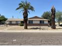 Quaint single story home with desert landscaping and mature palm trees at 3341 E Cochise Rd, Phoenix, AZ 85028