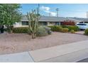 Well-maintained home with a desert-landscaped front yard, featuring a variety of cacti and greenery at 7255 E Coronado Rd, Scottsdale, AZ 85257
