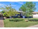 Landscaped front yard with mature trees and green grass at 1639 W Indianola Ave, Phoenix, AZ 85015