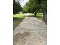 Stone walkway under mature trees, creating a peaceful and inviting entry to the property at 3102 E Backus Rd, Mesa, AZ 85213