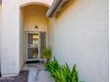 A bright, welcoming front door featuring a security screen and views into the home at 6301 S Tournament Ln, Chandler, AZ 85249