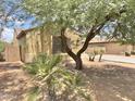 Lush greenery surrounds the home, enhancing its curb appeal and creating a peaceful outdoor setting at 7116 W Sophie Ln, Laveen, AZ 85339