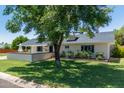 Inviting single-story home showcasing a lush front lawn and a mature shade tree at 6302 N 13Th Pl, Phoenix, AZ 85014