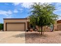 Single-story home featuring a gravel yard, mature tree, and attached two-car garage at 317 E Harwell Rd, Gilbert, AZ 85234
