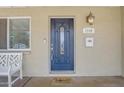 Close up of the front door with decorative glass, modern lighting, and welcoming details at 1719 E Dana Ave, Mesa, AZ 85204