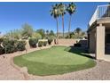Backyard putting green with desert landscaping and mature palm trees, ideal for outdoor recreation at 2549 E Desert Trumpet Rd, Phoenix, AZ 85048