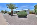A vibrant palm tree and green bushes adorn the property with gravel landscaping at 5228 E Des Moines St, Mesa, AZ 85205