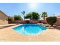 Backyard pool with patio space, palms, bushes, block wall and blue water at 4214 W Marco Polo Rd, Glendale, AZ 85308
