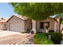 Inviting single-story home with a lush front yard and well manicured landscape at 17606 N 2Nd Ave, Phoenix, AZ 85023
