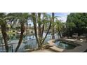 Inviting backyard featuring a spa with waterfront views and palm trees offering a tranquil outdoor retreat at 10175 E Cochise Dr, Scottsdale, AZ 85258