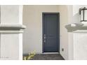 The front door has a gray finish with a matching door frame and modern hardware at 17854 W Mission Ln, Waddell, AZ 85355