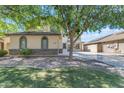 Manicured front yard with green grass and mature tree providing lots of natural shade at 29475 N Candlewood Dr, San Tan Valley, AZ 85143