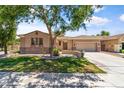 Charming home featuring a well-manicured lawn, mature tree, and neutral-toned stucco exterior at 3225 E Cardinal Ct, Chandler, AZ 85286