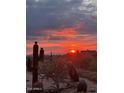 Picturesque desert sunrise with mountains in the distance and native cacti in the foreground at 36674 N Vasari Dr, Scottsdale, AZ 85262