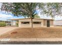 Charming single-story home with well-maintained landscaping and covered parking at 8302 E Dutchman Dr, Mesa, AZ 85208