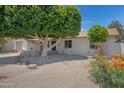 Well-maintained front yard features mature landscaping and a welcoming entrance at 2510 W Columbine Dr, Phoenix, AZ 85029