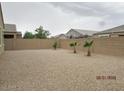 Large, gravel backyard featuring a block wall, three palm trees, and space for customization at 1246 E Thomas Dr, Casa Grande, AZ 85122