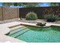 Beautiful pool with steps, concrete surround, and well-kept landscaping at 2894 N Paisley Ave, Casa Grande, AZ 85122