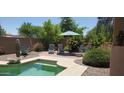 Inviting backyard pool area with lounge chairs, desert landscaping, and a striped umbrella at 2894 N Paisley Ave, Casa Grande, AZ 85122