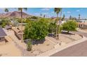 Eye-level front yard showcasing the desert landscape and an inviting entrance with palm trees at 2234 E Lawrence Rd, Phoenix, AZ 85016