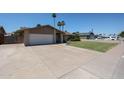 Spacious driveway leading to a single-story home with a well-maintained lawn and mature palm trees at 3633 W Redfield Rd, Phoenix, AZ 85053
