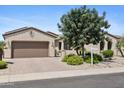 Charming single-story home with low-maintenance desert landscaping and a paver driveway at 18634 N Paloma Ct, Surprise, AZ 85387