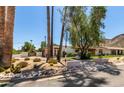 View of charming property with cacti, palm trees, and desert landscaping at 12835 N 16Th Dr, Phoenix, AZ 85029