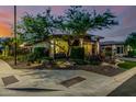 Street view of a single-story home with desert landscaping in a well-maintained neighborhood at 13252 W Steed Ridge Rd, Peoria, AZ 85383