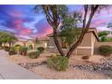 A charming single-story house features desert landscaping, complemented by a natural tree and visible neighboring home at 3523 W Buckhorn Trl, Phoenix, AZ 85083