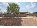 A well-maintained front yard with block wall, a large tree, and gate access, enhancing curb appeal at 1614 S 6Th Ave, Phoenix, AZ 85003