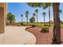 Beautiful backyard with lush landscaping, mature trees, and a golf course view at 22222 N Pedregosa Dr, Sun City West, AZ 85375